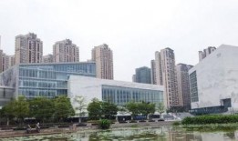 佛山都市爆料最新消息视频,视频揭秘城市热点事件