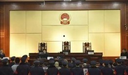 景德镇政府爆料案件最新,案情揭秘，正义终将到来！”