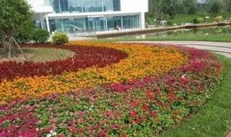 和平花园爆料最新消息,揭秘神秘事件背后的真相