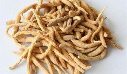 老姜爆料视频大全最新,揭秘娱乐圈幕后真相