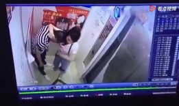 建哥爆料视频大全下载最新,最新动态一网打尽