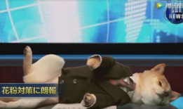 虎帅最新爆料新闻视频大全,视频大全揭秘热点事件幕后真相