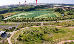 黄河公园爆料视频最新,揭秘公园神秘事件背后的真相