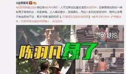 阿花最新爆料网站视频下载,最新网站视频下载攻略大公开