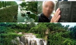 园林绿化爆料视频最新版