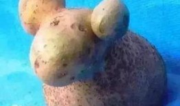 小羊最新爆料出轨是哪一集,出轨真相揭露，哪一集成为舆论焦点？