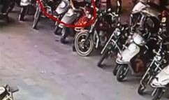 最新爆料机车视频大全集,速度与激情的视觉盛宴