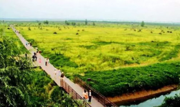 黄河公园爆料视频最新,揭秘公园神秘事件背后的真相