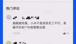 小米员工最新爆料消息,揭秘公司最新动态与未来规划！”