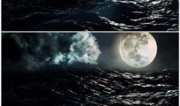 月光爆料最新视频下载免费,揭秘幕后精彩瞬间