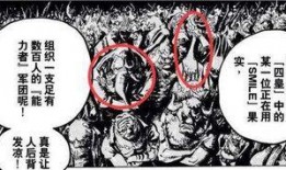 海贼王情报君最新爆料,神秘新角色登场，剧情走向再掀波澜！