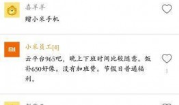 小米员工最新爆料消息,揭秘公司最新动态与未来规划！”