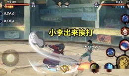 忍战小李技能爆料视频最新,视频爆料揭示神秘力量