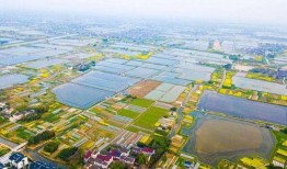 湖州长兴爆料事件最新进展,最新调查进展及官方回应揭晓