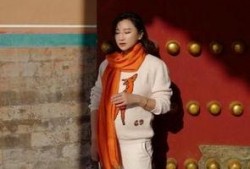 何雯娜最新爆料,揭秘体育界不为人知的幕后故事