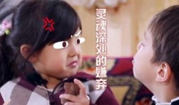 泡芙姑姑维姐最新爆料是哪一集,揭秘哪一集引发热议？