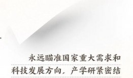 武汉早安最新爆料新闻,揭秘XX事件背后真相