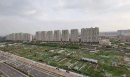 台州最新爆料,揭秘城市发展与民生改善新动态