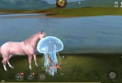 妄想山海最新爆料在哪看,揭秘神秘世界，独家解读抢先看！