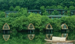 深圳汪小姐最新爆料电话,揭秘电话背后的惊人真相