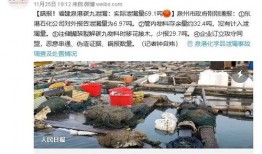 揭阳东山最新爆料事件,神秘事件背后真相揭晓