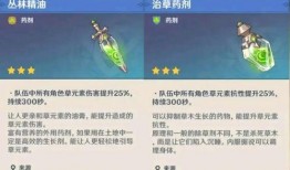 原神新须弥最新爆料,原神新版本揭秘，奇幻世界等你来探险