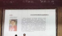 深圳张先生最新面试爆料,揭秘职场高手面试秘诀