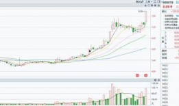 上海上港最新爆料,揭秘球队备战新赛季的幕后故事