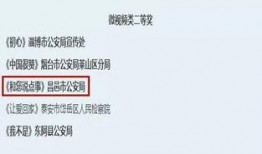 金融诈骗爆料视频最新版,最新爆料视频深度解析
