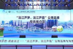 沅江新闻爆料网最新消息,最新爆料揭示惊人内幕！