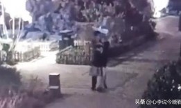 梁山吃瓜最新事件爆料视频,揭秘最新事件爆料视频背后的真相